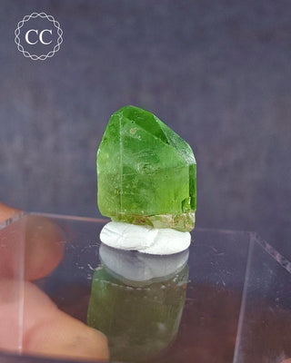 Peridot Terminated Crystal #7