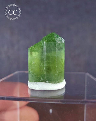 A terminated Peridot crystal from Sapat Gali in Pakistan displayed on a clear display box 