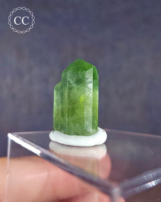 Peridot Terminated Crystal #8