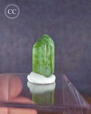 Peridot Terminated Crystal #8