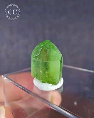 Peridot Terminated Crystal #9