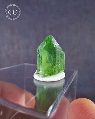 Peridot Terminated Crystal #9