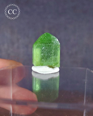 Peridot Terminated Crystal #9
