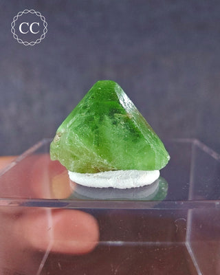 A terminated Peridot crystal from Sapat Gali in Pakistan displayed on a clear display box 