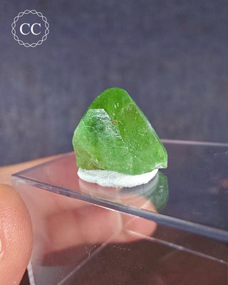 Peridot Terminated Crystal #10