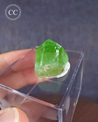 Peridot Terminated Crystal #10