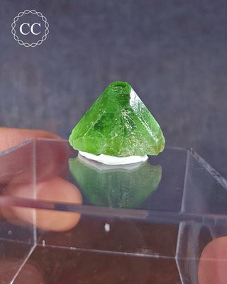 Peridot Terminated Crystal #10