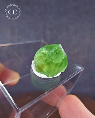 Peridot Terminated Crystal #11