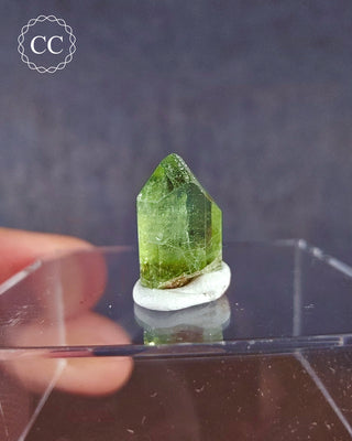 A terminated Peridot crystal from Sapat Gali in Pakistan displayed on a clear display box 