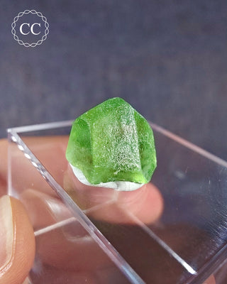 Peridot Terminated Crystal #11