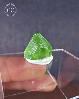 Peridot Terminated Crystal #11