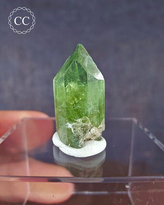 A terminated Peridot crystal from Sapat Gali in Pakistan displayed on a clear display box 