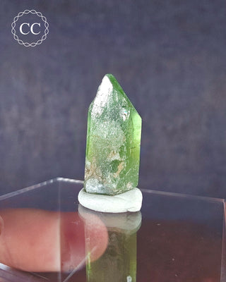 Peridot Terminated Crystal #12