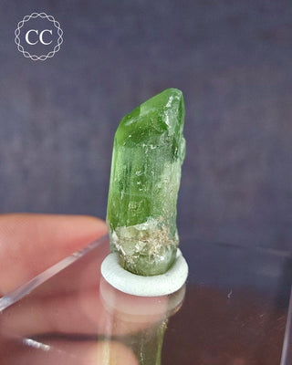 Peridot Terminated Crystal #12