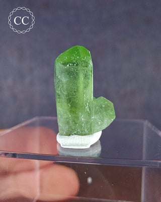 A terminated Peridot crystal from Sapat Gali in Pakistan displayed on a clear display box 