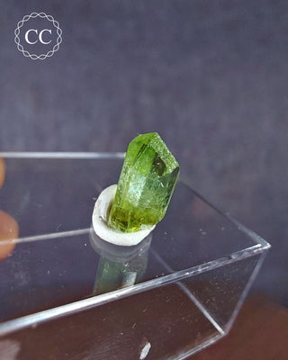 Peridot Terminated Crystal #2