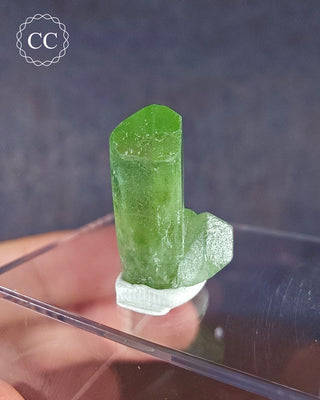 Peridot Terminated Crystal #13