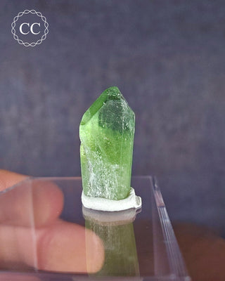 Peridot Terminated Crystal #13