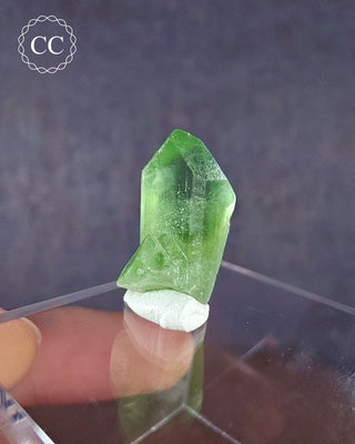 Peridot Terminated Crystal #13