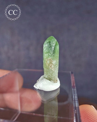 Peridot Terminated Crystal #14