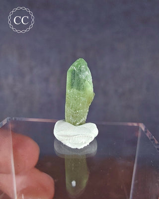 Peridot Terminated Crystal #14
