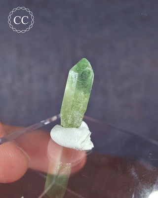 Peridot Terminated Crystal #14
