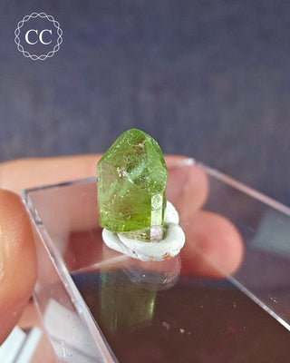 Peridot Terminated Crystal #2