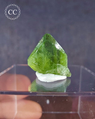 A terminated Peridot crystal from Sapat Gali in Pakistan displayed on a clear display box 