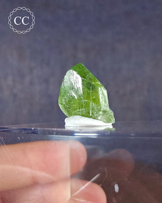 Peridot Terminated Crystal #15