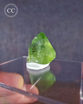 Peridot Terminated Crystal #15