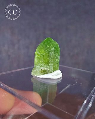 Peridot Terminated Crystal #15