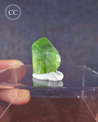A terminated Peridot crystal from Sapat Gali in Pakistan displayed on a clear display box 