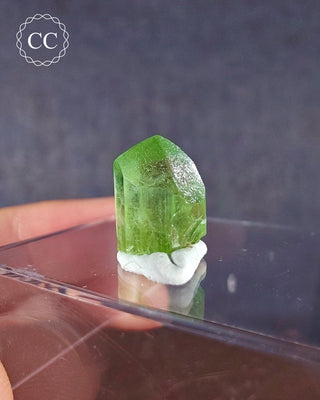 Peridot Terminated Crystal #16