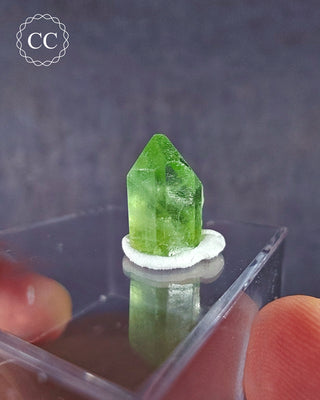 Peridot Terminated Crystal #16