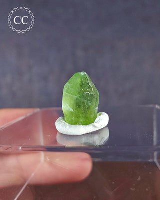 A terminated Peridot crystal from Sapat Gali in Pakistan displayed on a clear display box 