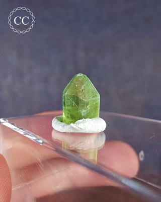 Peridot Terminated Crystal #17