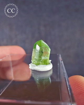 Peridot Terminated Crystal #17