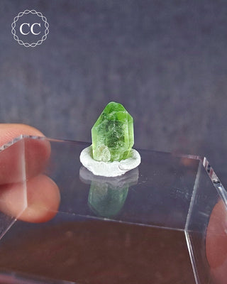 Peridot Terminated Crystal #17