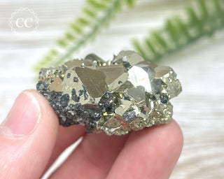 Peruvian Pyrite Cluster #12