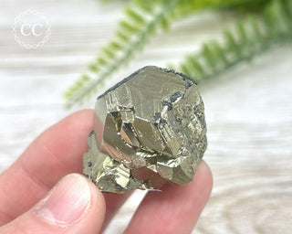 Peruvian Pyrite Cluster #5