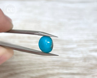Turquoise Cabochon #8