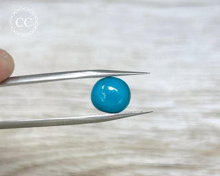 Turquoise Cabochon #8