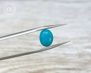 Turquoise Cabochon #13