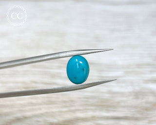 Turquoise Cabochon #13