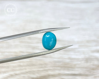 Turquoise Cabochon #13