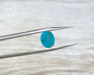 Turquoise Cabochon #13