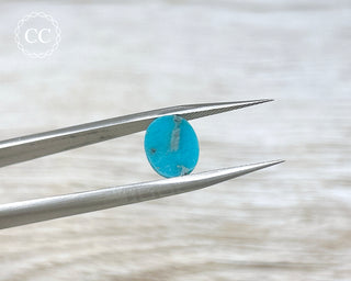 Turquoise Cabochon #13