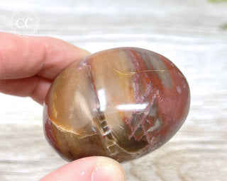 Petrified Wood Chunky Palm Stone #2