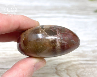 Petrified Wood Chunky Palm Stone #2