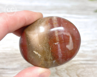 Petrified Wood Chunky Palm Stone #2